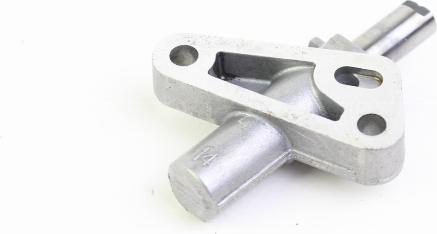 Wilmink Group WG2544822 - натягувач, ланцюг приводу autocars.com.ua