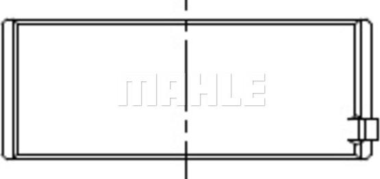 Wilmink Group WG2578509 - шатуни підшипник autocars.com.ua