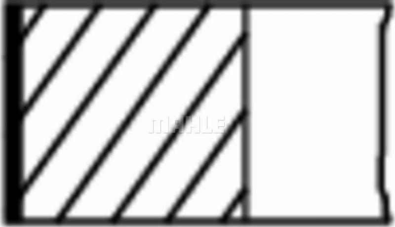 Wilmink Group WG2578528 - Комплект поршневих кілець autocars.com.ua