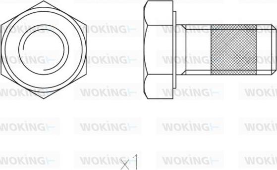 Woking ACA8521.00 - Комплектующие для колодок дискового тормоза avtokuzovplus.com.ua