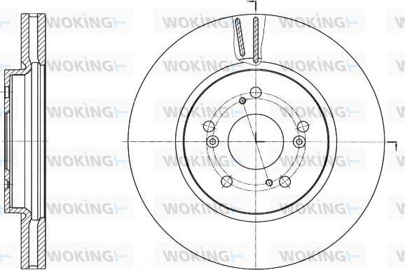 Woking D61643.10 - Тормозной диск autodnr.net