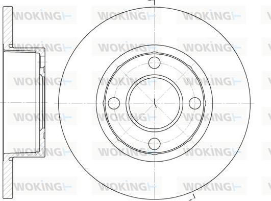 Woking D6173.00 - Тормозной диск avtokuzovplus.com.ua