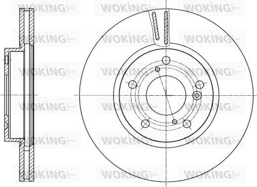 Woking D61755.10 - Тормозной диск autodnr.net