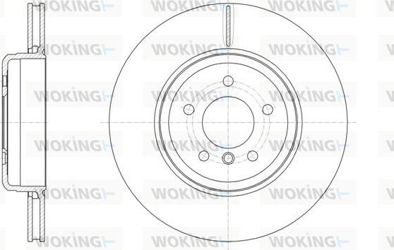 Woking D61961.10 - Тормозной диск avtokuzovplus.com.ua