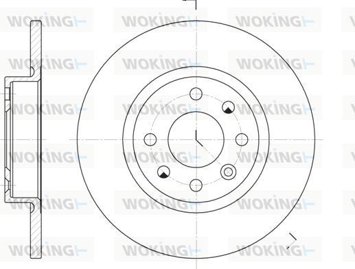 Woking D6209.00 - Тормозной диск avtokuzovplus.com.ua