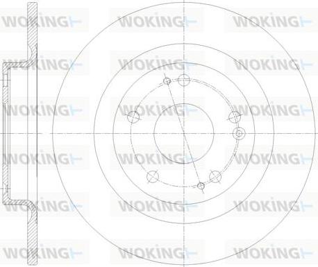 Woking D62101.00 - Тормозной диск autodnr.net