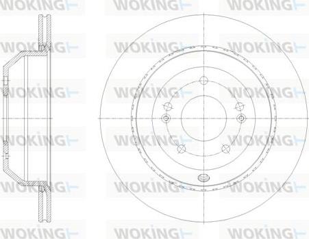 Woking D62123.10 - Тормозной диск avtokuzovplus.com.ua