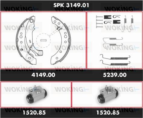 Woking SPK 3149.01 - Комплект гальм, барабанний механізм autocars.com.ua