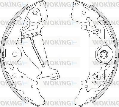 Woking Z4219.00 - Тормозные башмаки, барабанные autodnr.net