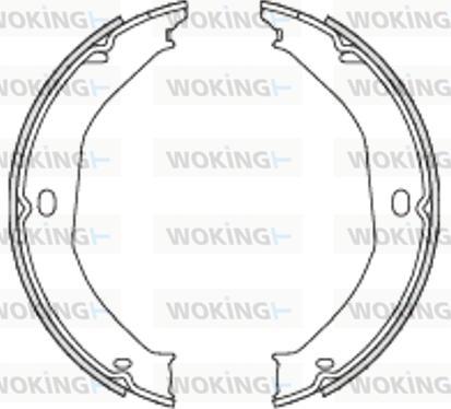 Woking Z4698.00 -  autocars.com.ua