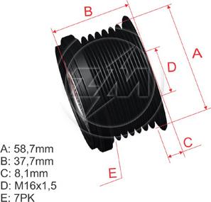 ZM ZM 96.000.25 - Ремінний шків, генератор autocars.com.ua